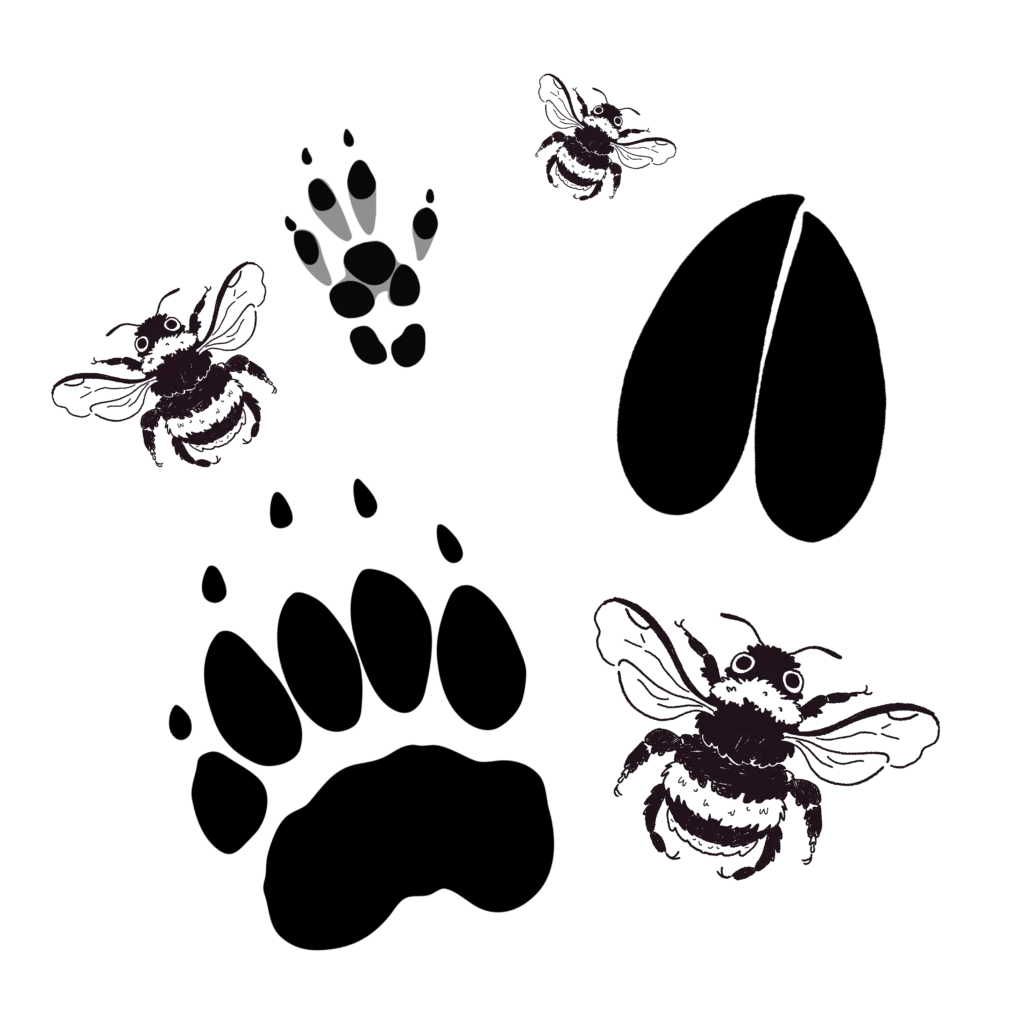 Illustration en noir et blanc, réalisée par Eloise Mokhtari, destinées à la pédagogie pour la didactique visuelle ou la vulgarisation par des objets ludiques et uniques.