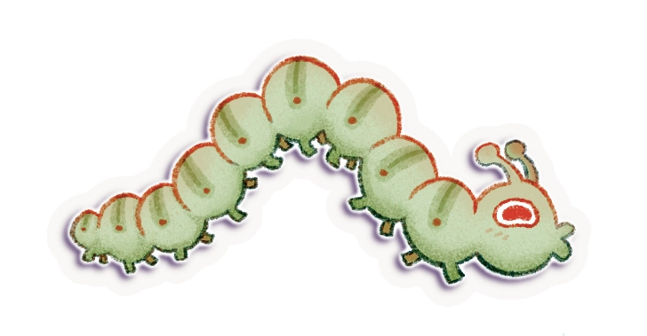 Illustration d'une petite chenille fantastique et mignonne, univers nature et cosy d'Eloïse Mokhtari, artiste-autrice.